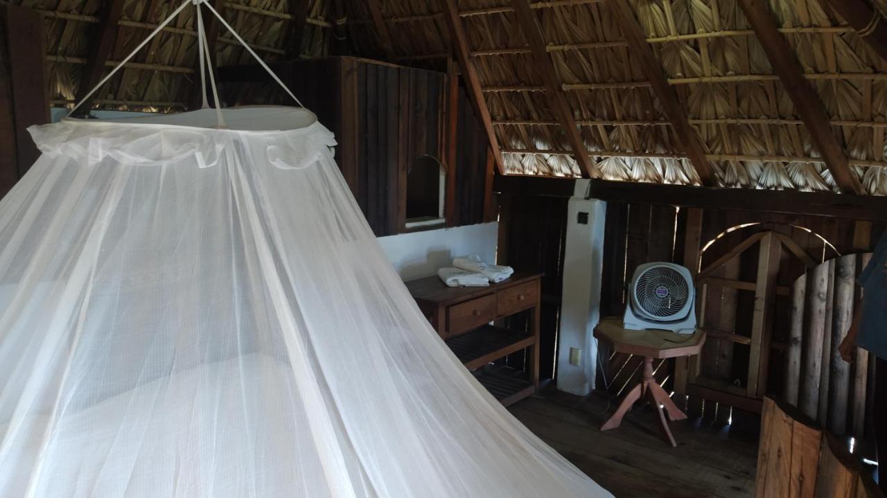 Hotel Shambhala Vision à Zipolite Extérieur photo
