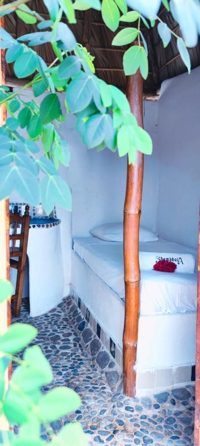 Hotel Shambhala Vision à Zipolite Extérieur photo